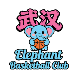 武漢大象籃球